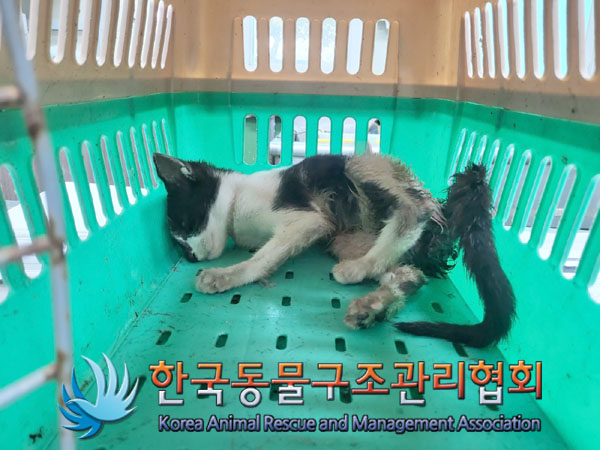 종료(자연사) 한국…